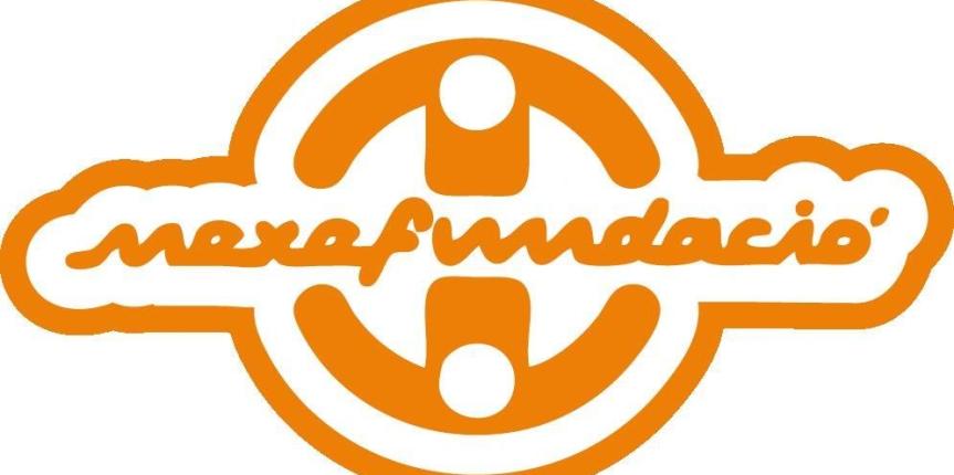 Nexe logo fundació alta ressolució